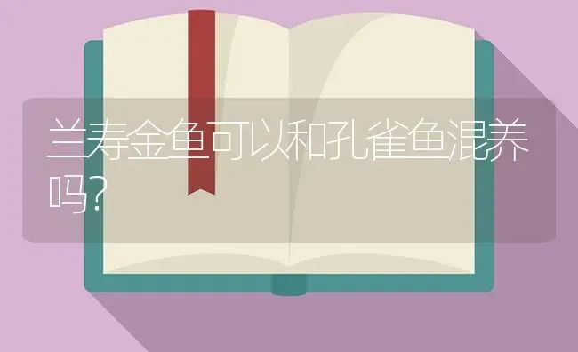 兰寿金鱼可以和孔雀鱼混养吗？ | 鱼类宠物饲养