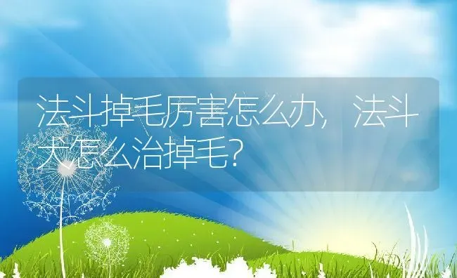 法斗掉毛厉害怎么办,法斗犬怎么治掉毛？ | 宠物百科知识