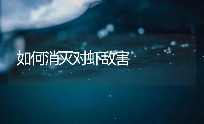 如何消灭对虾敌害 | 海水养殖技术