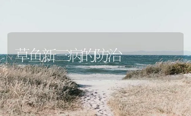 草鱼新三病的防治 | 海水养殖技术