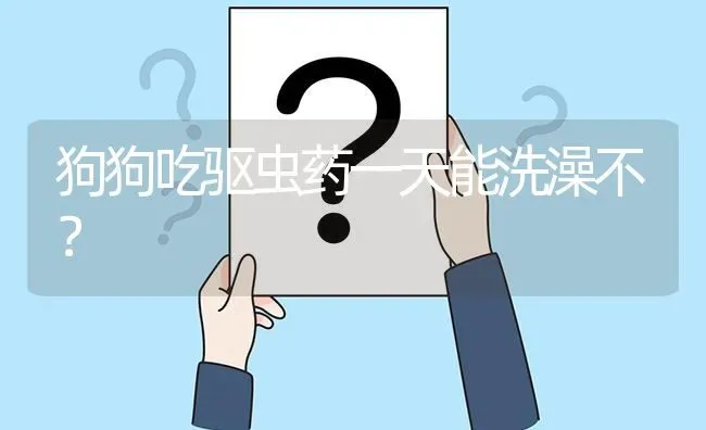 狗狗吃驱虫药一天能洗澡不？ | 动物养殖问答