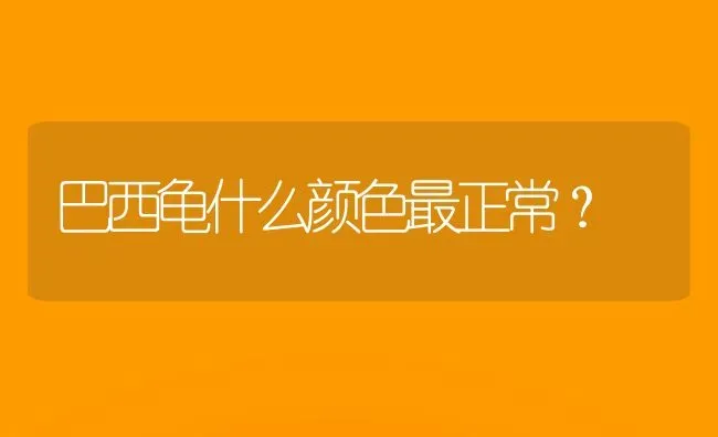 巴西龟什么颜色最正常？ | 动物养殖问答