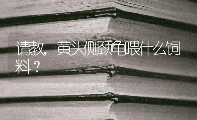 请教，黄头侧颈龟喂什么饲料？ | 动物养殖问答