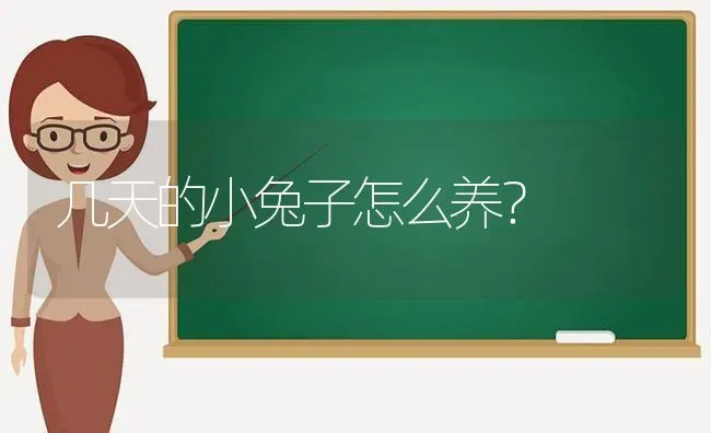 几天的小兔子怎么养？ | 动物养殖问答