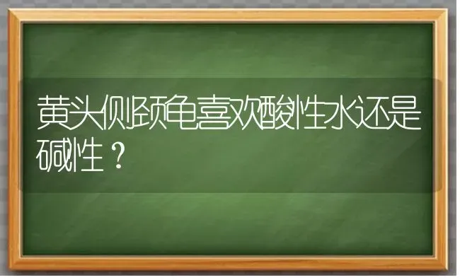 黄头侧颈龟喜欢酸性水还是碱性？ | 动物养殖问答