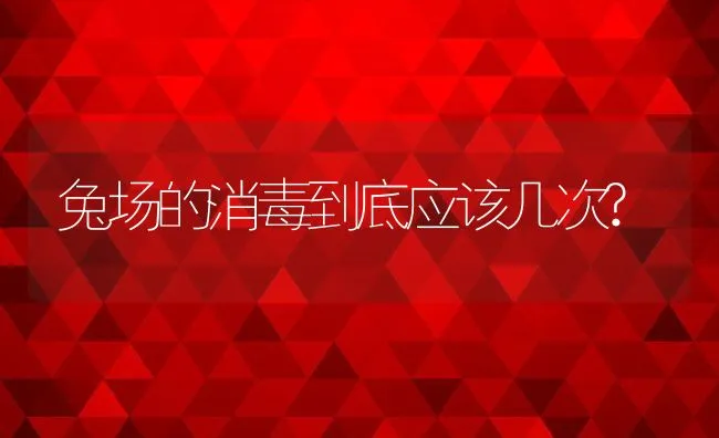 兔场的消毒到底应该几次? | 动物养殖学堂