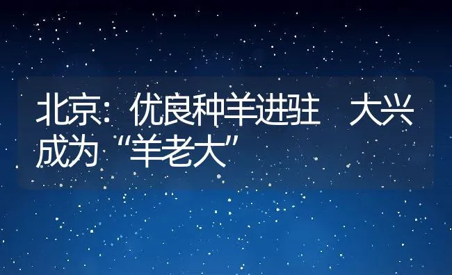 北京：优良种羊进驻 大兴成为“羊老大” | 动物养殖饲料