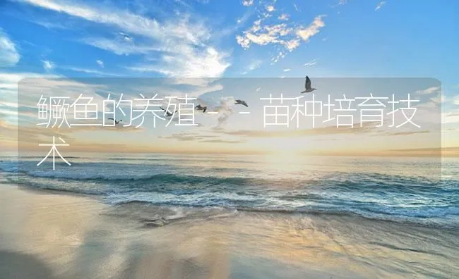 鳜鱼的养殖－－苗种培育技术 | 海水养殖技术