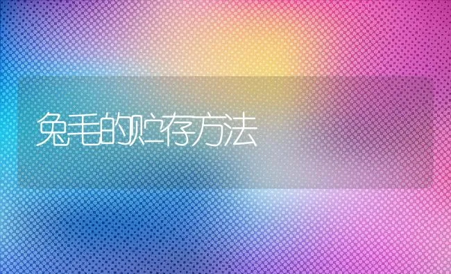 兔毛的贮存方法 | 动物养殖学堂