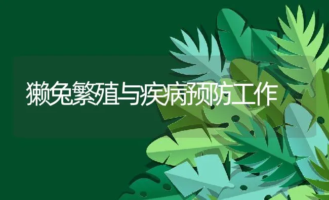 獭兔繁殖与疾病预防工作 | 动物养殖学堂