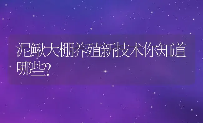 泥鳅大棚养殖新技术你知道哪些？ | 动物养殖百科