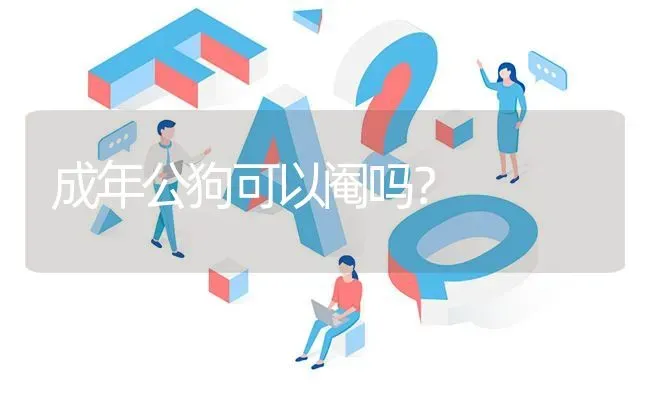 成年公狗可以阉吗？ | 动物养殖问答