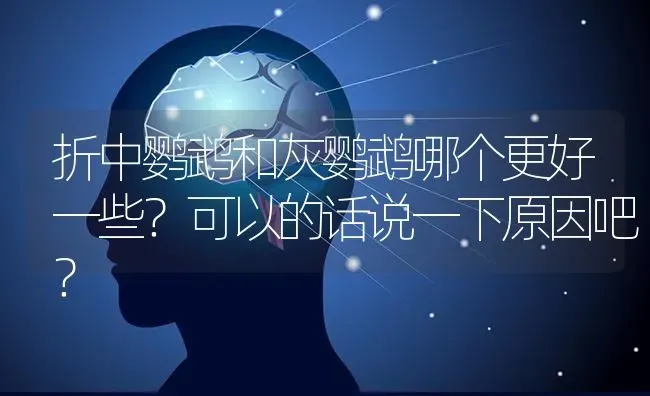 折中鹦鹉和灰鹦鹉哪个更好一些？可以的话说一下原因吧？ | 动物养殖问答