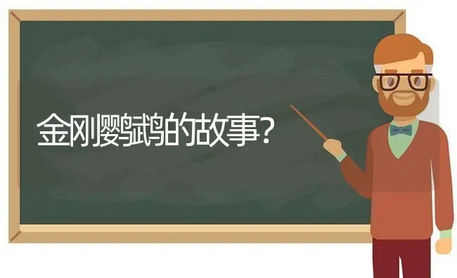 各种鹦鹉说话能力评级，鹦鹉说话能力排行？ | 动物养殖问答