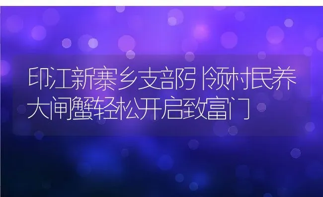 印江新寨乡支部引领村民养大闸蟹轻松开启致富门 | 动物养殖教程