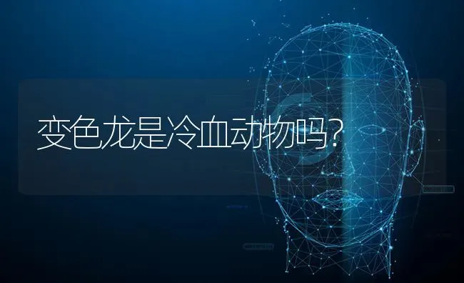 变色龙是冷血动物吗？ | 动物养殖问答