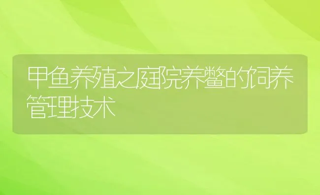 甲鱼养殖之庭院养鳖的饲养管理技术 | 水产养殖知识