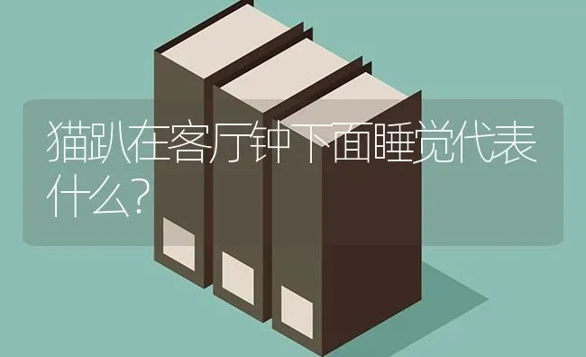 招财猫鱼为什么不建议养？ | 动物养殖问答