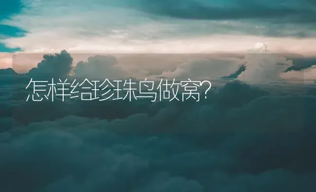 怎样给珍珠鸟做窝？ | 鱼类宠物饲养