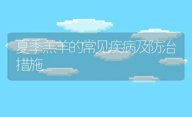 夏季羔羊的常见疾病及防治措施 | 动物养殖百科