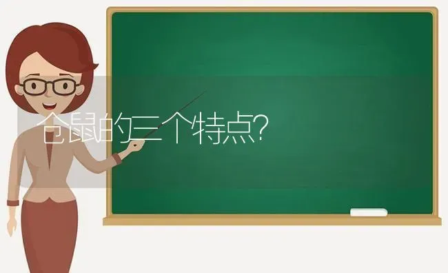 仓鼠的三个特点？ | 动物养殖问答