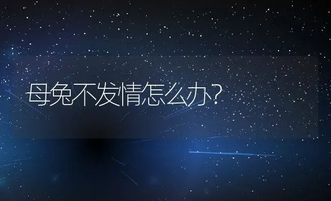 母兔不发情怎么办？ | 动物养殖百科