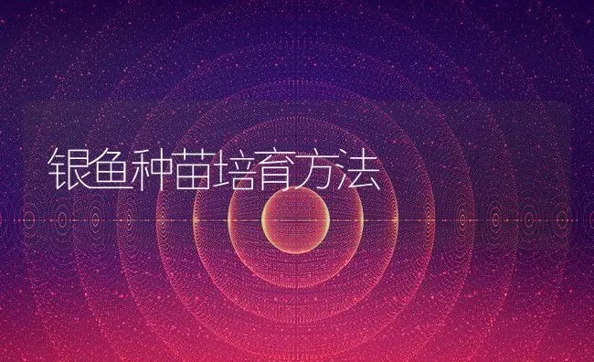 银鱼种苗培育方法 | 动物养殖百科