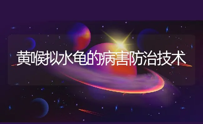 黄喉拟水龟的病害防治技术 | 水产养殖知识