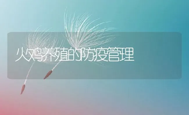 火鸡养殖的防疫管理 | 动物养殖教程