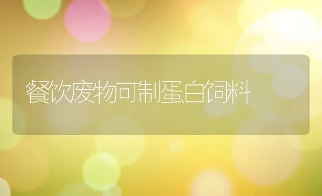 餐饮废物可制蛋白饲料 | 动物养殖饲料