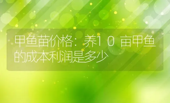 甲鱼苗价格：养10亩甲鱼的成本利润是多少 | 动物养殖百科