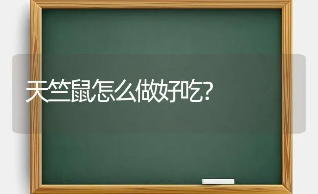 天竺鼠怎么做好吃？ | 动物养殖问答