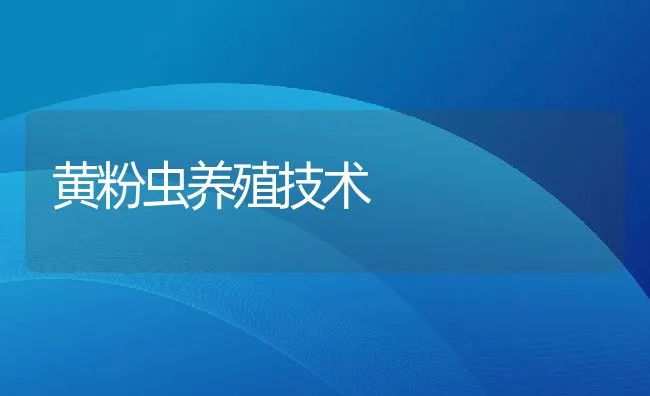 黄粉虫养殖技术 | 水产养殖知识