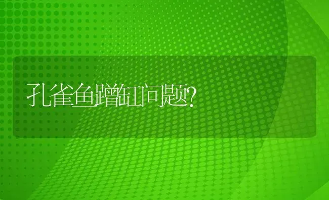 热带鱼什么梗？ | 鱼类宠物饲养