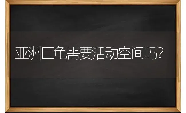 亚洲巨龟需要活动空间吗？ | 动物养殖问答