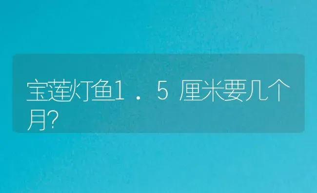 宝莲灯鱼1.5厘米要几个月？ | 鱼类宠物饲养