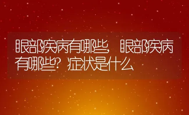 眼部疾病有哪些,眼部疾病有哪些?症状是什么 | 宠物百科知识