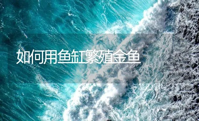 热带水草的选择和栽种方法介绍 | 海水养殖技术