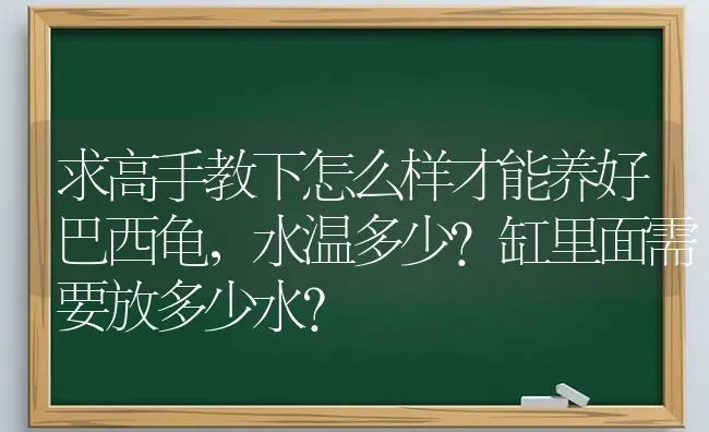 求高手教下怎么样才能养好巴西龟，水温多少?缸里面需要放多少水？ | 动物养殖问答