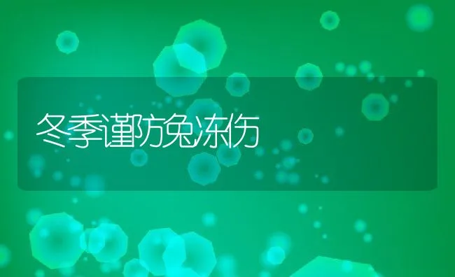 冬季谨防兔冻伤 | 动物养殖学堂