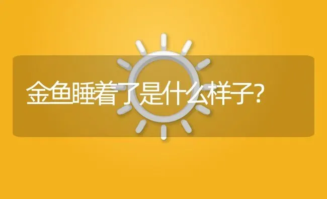 金鱼睡着了是什么样子？ | 鱼类宠物饲养