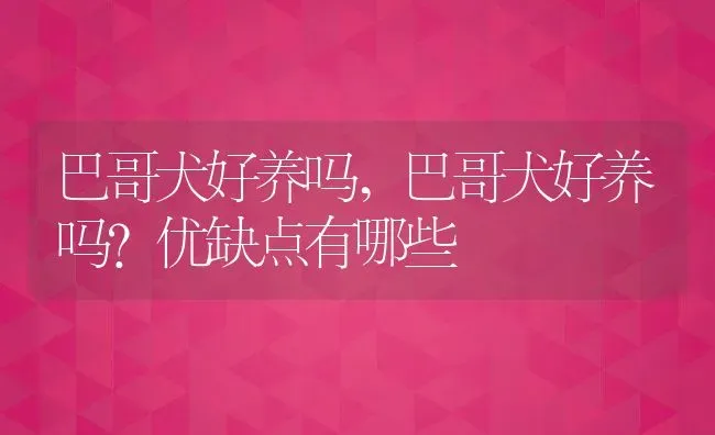 巴哥犬好养吗,巴哥犬好养吗?优缺点有哪些 | 宠物百科知识