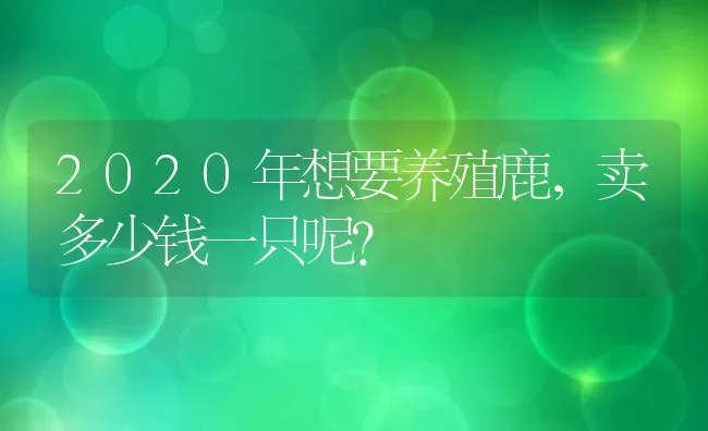 重庆武隆90后女孩樊霞山顶上养螃蟹年销600万 | 动物养殖百科