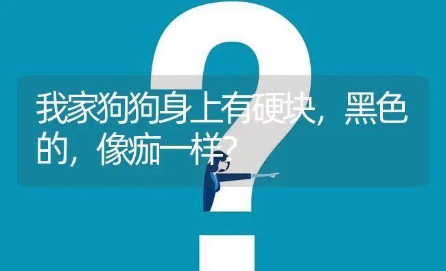 我家狗狗身上有硬块，黑色的，像痂一样？ | 动物养殖问答