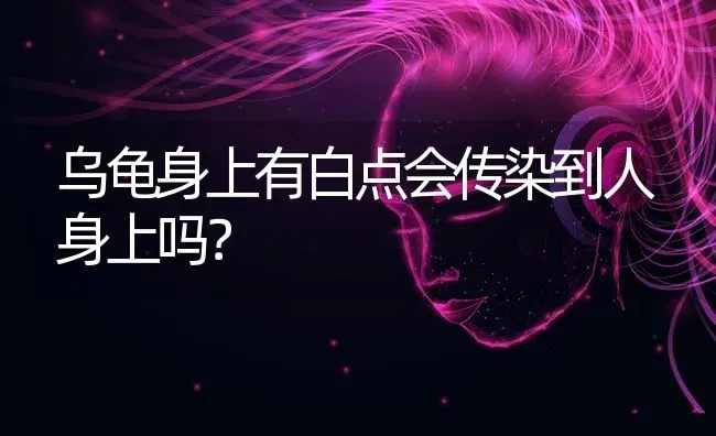 2厘米的巴西龟养的活吗？ | 动物养殖问答