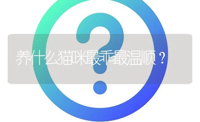 养什么猫咪最乖最温顺？ | 动物养殖问答