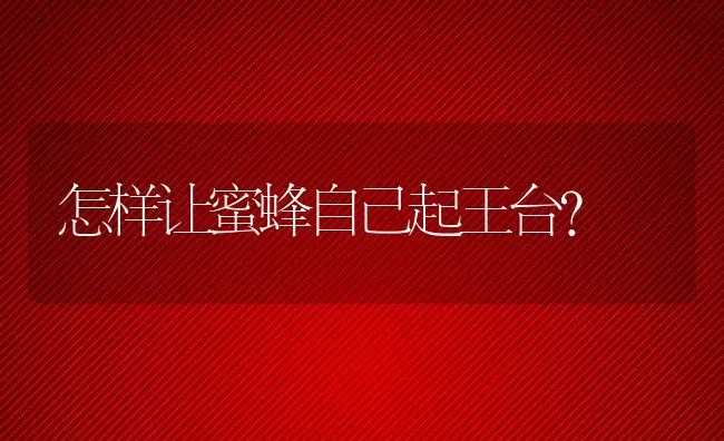 怎样让蜜蜂自己起王台？ | 动物养殖百科