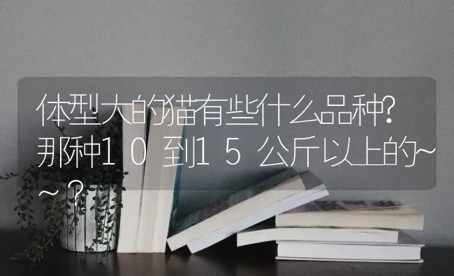 体型大的猫有些什么品种?那种10到15公斤以上的~~？ | 动物养殖问答