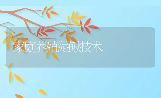 家庭养殖泥鳅技术 | 水产养殖知识