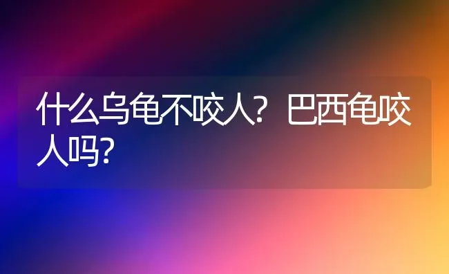 比熊和柯基哪个适合家养？ | 动物养殖问答